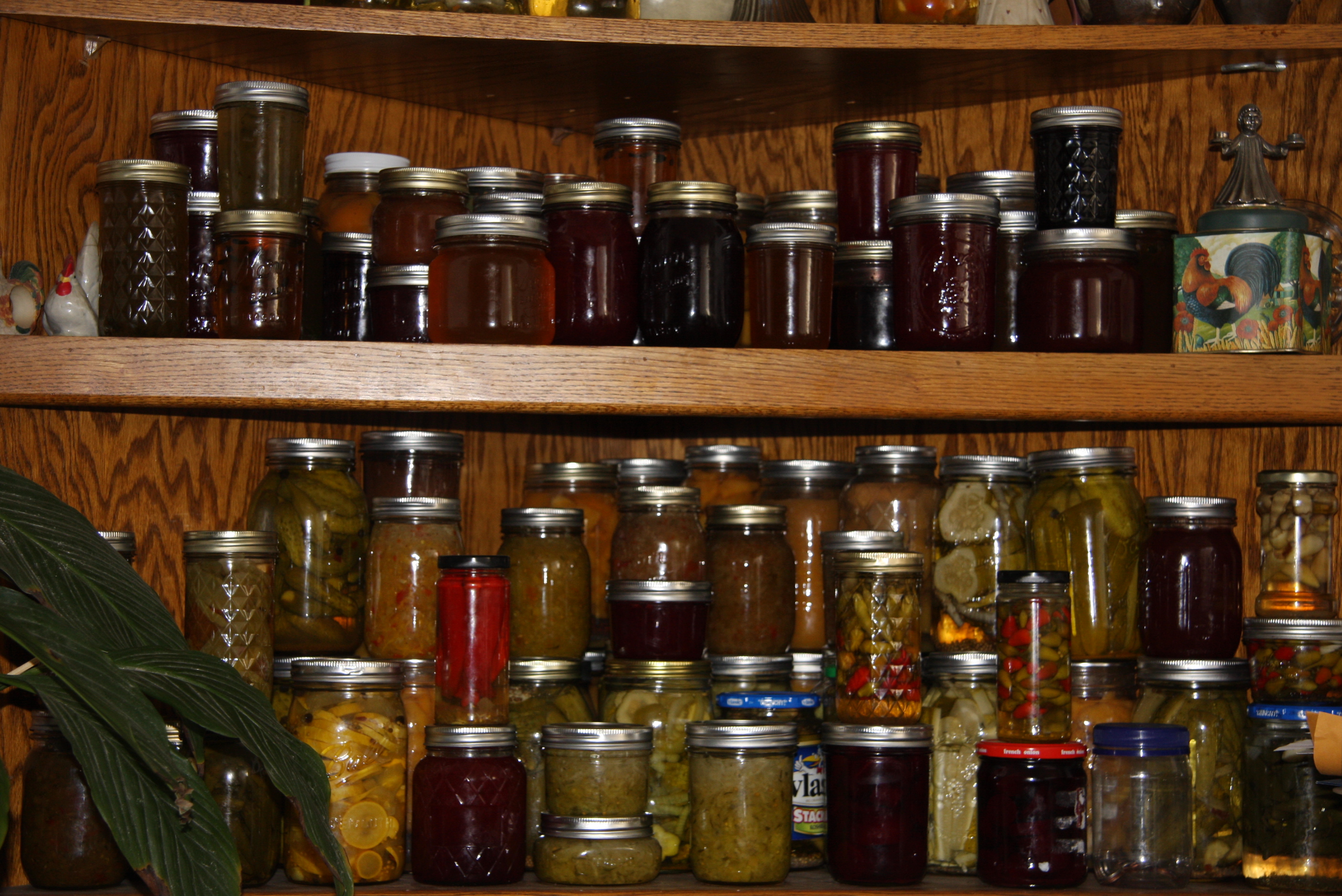 A plethora of canning specialities