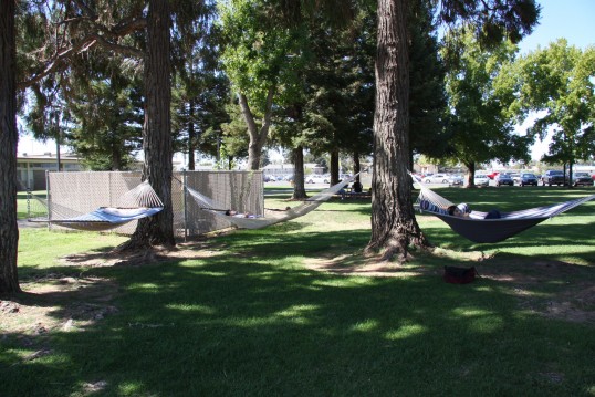 Students relaxing on the hammocks.