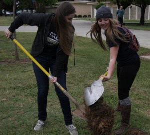 Below: ASYC President Casee Wieber and Brielle West plant a tree for Earth Day.