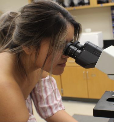 Judy Tran observing specimen in the zoology lab.