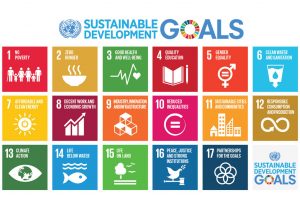 UN graphic of the 17 Sustainable Development Goals