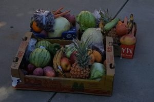Donated produce collected by WFWA volunteers for sorted into distribution boxes for members.