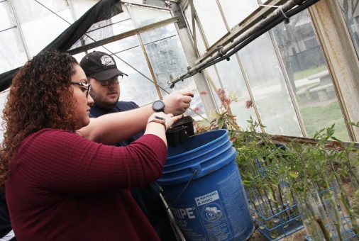 Green Future activities director and club member working together.