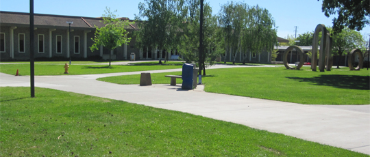 An empty campus during peak hours. (Photo: Capa Lo | The Prospector)
